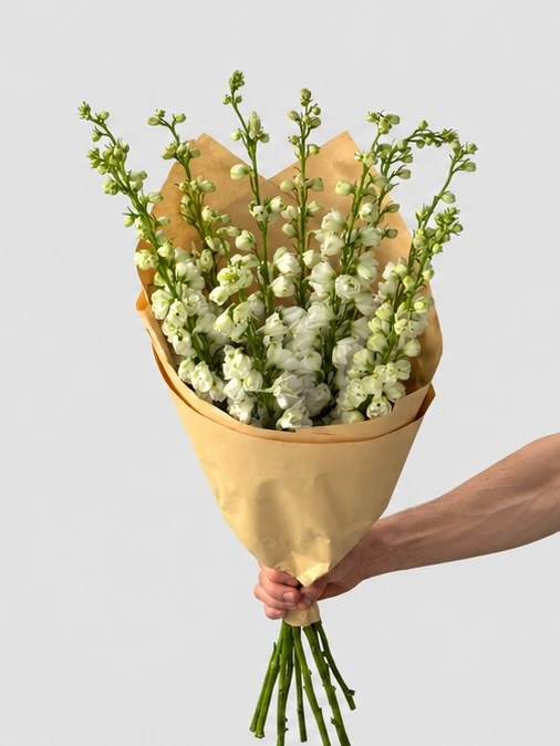 Банч дельфиниумы белые (10 шт), изображение 3